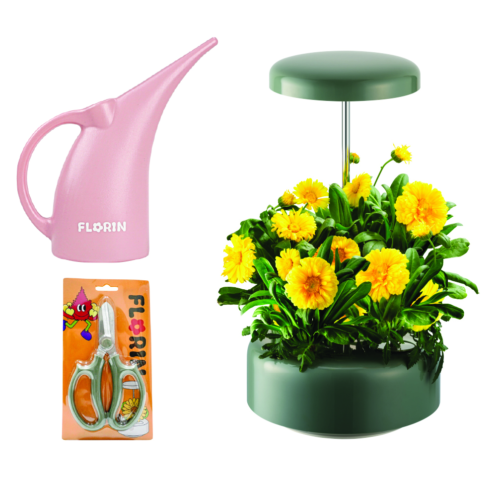 Máy trồng hoa thủy sinh - Florin